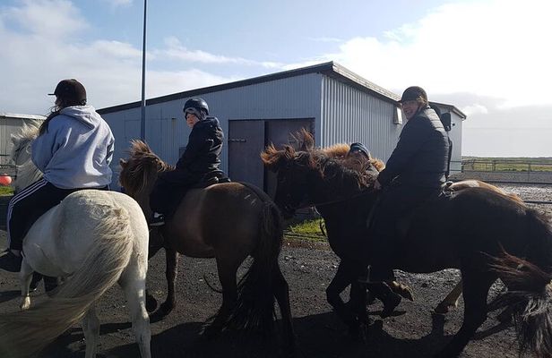Family Horse Riding Tour in Thorlakshofn