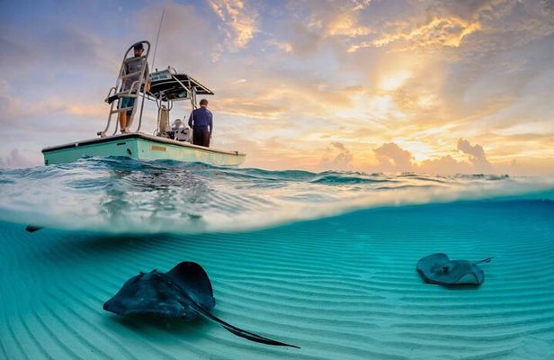 Cozumel Snorkel Experience! El Cielo Beach & Reef from Tulum City