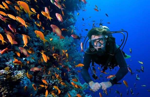 2 Tank Dive in Cozumel