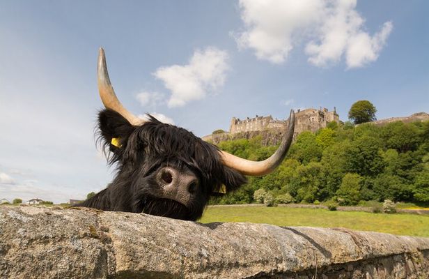 Edinburgh: Loch Lomond, Stirling Castle and the Kelpies Day Tour