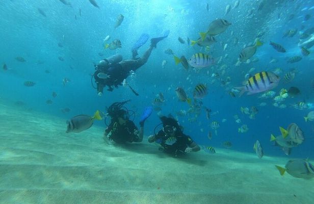 Private Scuba Diving 2 tanks at Mar de Cortés !!