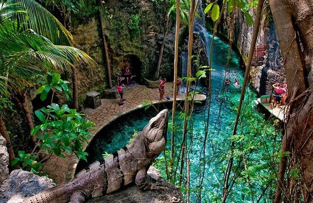 Xcaret Park, Buffet & Night Show! Roundtrip from Cancun