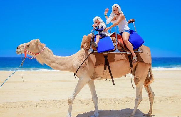 Outback Camel Ride