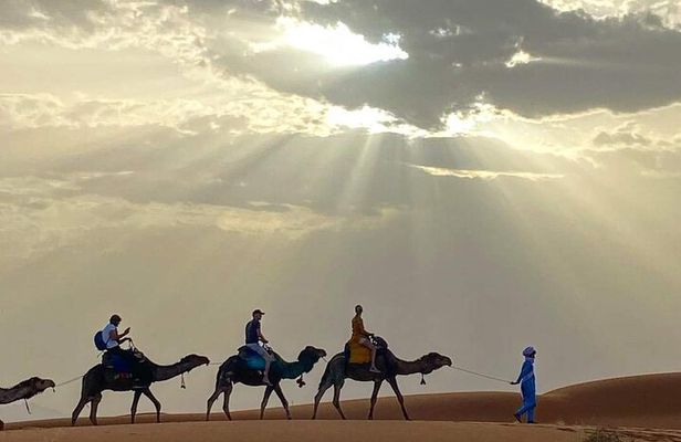 Sunset and Dinner with show in agafay desert