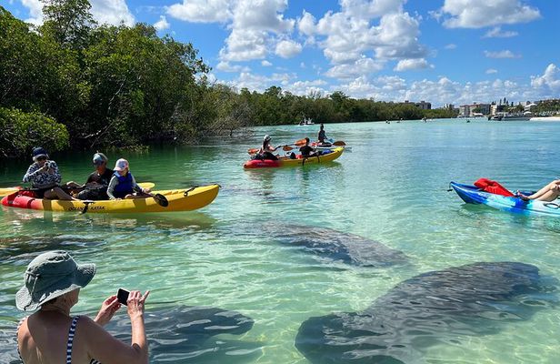 Guided Island EcoTour: CLEAR/Standard Kayak, SUP - Bonita Springs