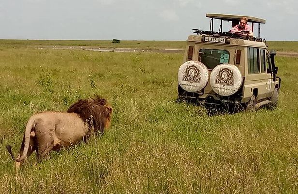 5 Day Adventure Camping Safari to Serengeti, Ngorongoro crater & Tarangire