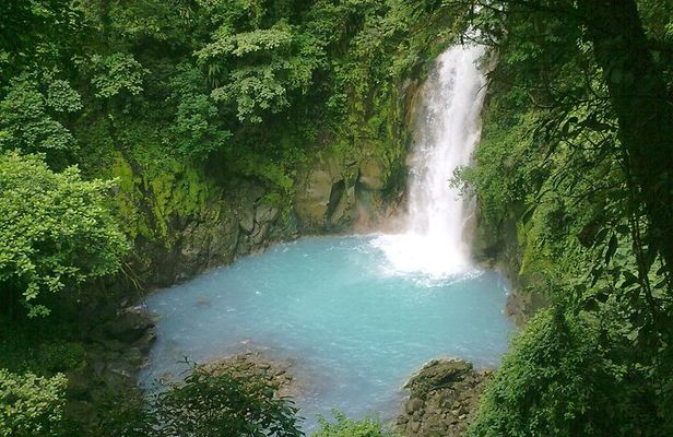 Rio Celeste Waterfall and Sloth Sactuary Full-Day Tour with Lunch