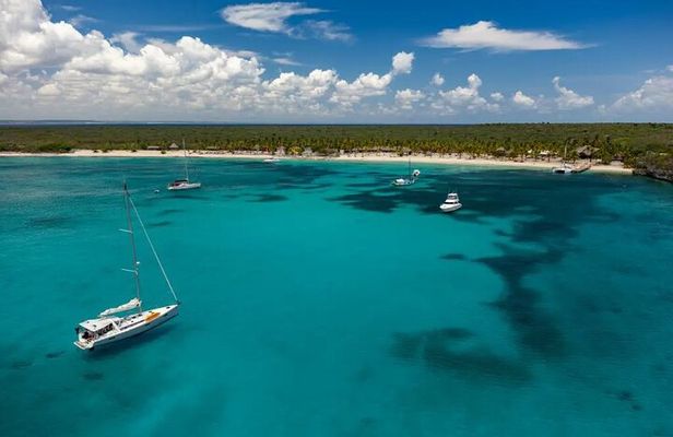 Full-day at Catalina Island from Santo Domingo with optional snorkeling included