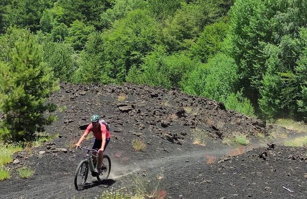 Mount Etna E-bike half-day tour