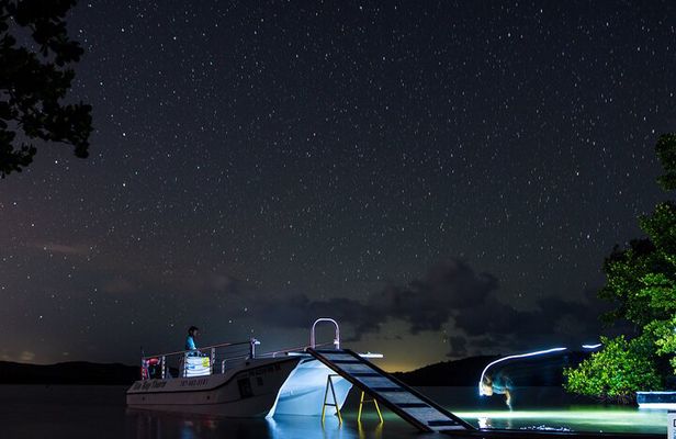 1-Hour Bioluminescent Boat Tour in Mosquito Bay, Vieques