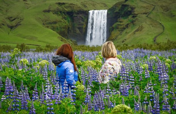Full-Day South Coast Tour & Glacier Hike - with Photo Package