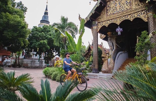 Authentic Chiang Mai 4-Hour Bicycle Tour with Northern Food