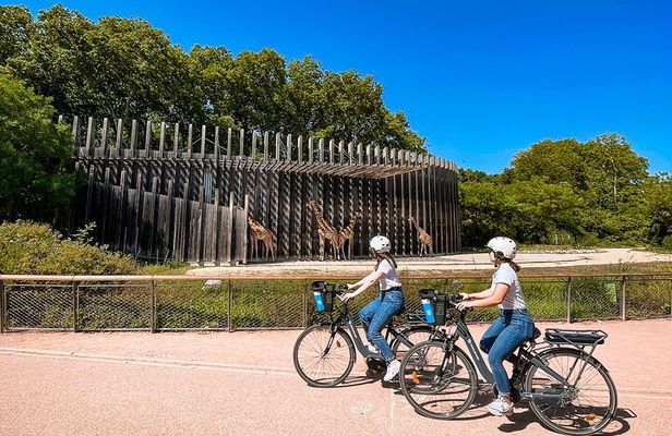 Electric bike ride in the Parc de la Tête d'Or - 2h
