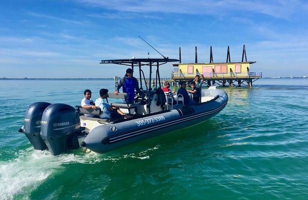 Miami Small Group Boat Tour: History, Wildlife, and Stiltsville