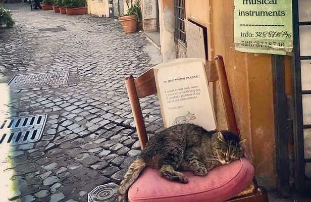 Private Guided Half-Day City Walking Tour in Florence