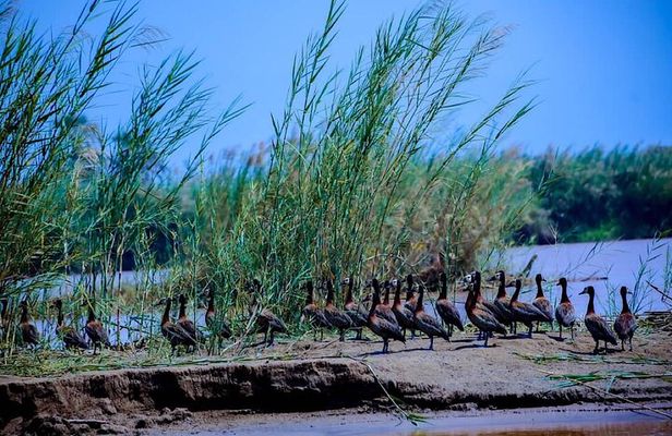 Full-Day Tour Bujumbura With Rusizi Park And Stanley Monument