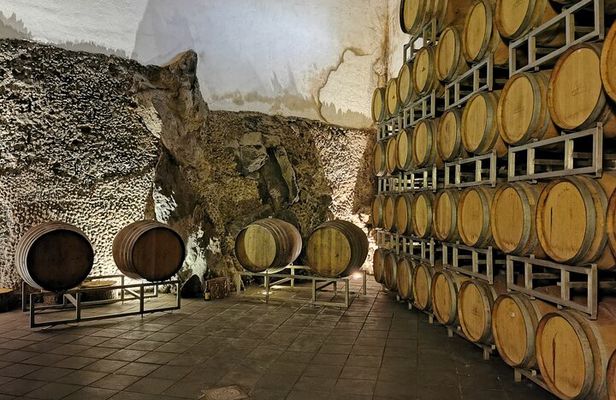 Etna Wine And Taormina From Messina