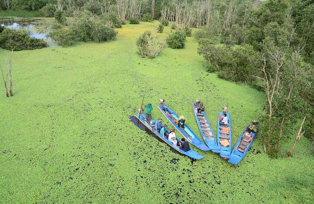 2-Day Mekong Delta: Gieng Island & Tram Chim National Park