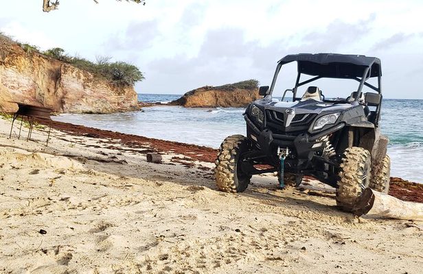 Salty Dogs UTV Adventure