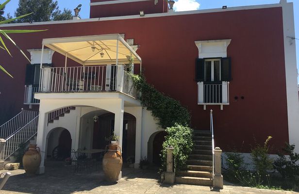 Vegan Charme: Typical Dinner with a Local in Monopoli