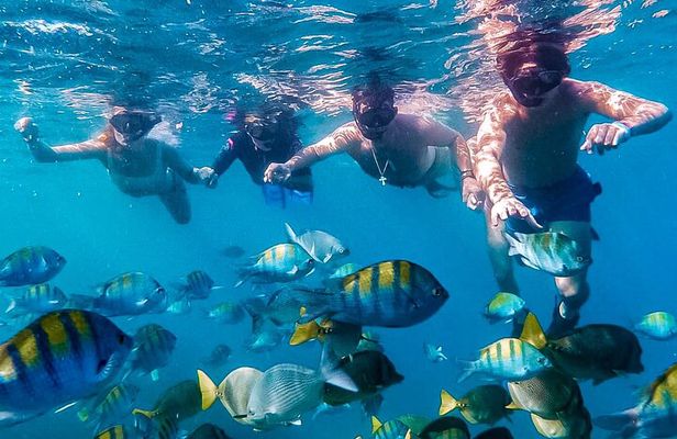 Los Cabos Snorkeling Tour by Speed Boat with Photos Included