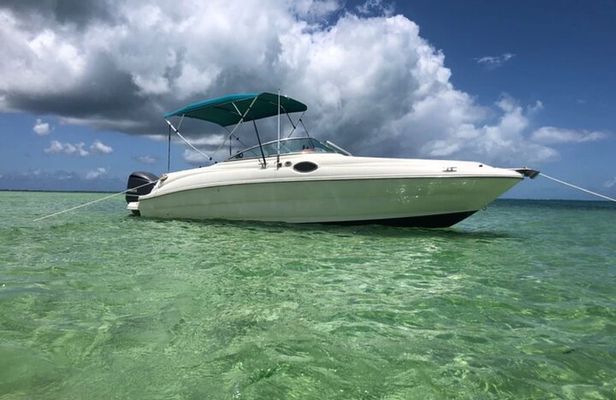 Private Full Day Charter - Stingray City, Starfish Point, Kaibo & Snorkeling