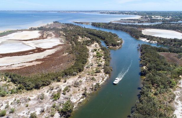 Murray River Lunch Cruise