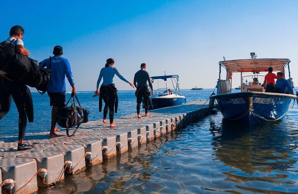 Dive trip to the coral reefs of Fujairah for certified scuba divers