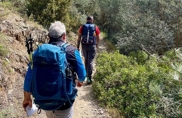 Private 3-Hour Hiking in Mount Ymittos