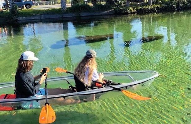 Weeki Wachee Clear Kayak Ecotours Manatee Season - November 14th-March 31st