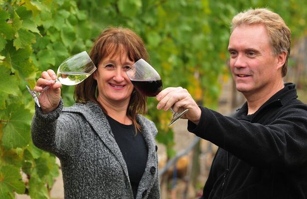 Kelowna Wine Tour by E-bike, Okanagan Valley Views and Lunch