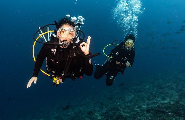 Full-Day Discover Scuba Diving Tour for Beginners in Tulamben