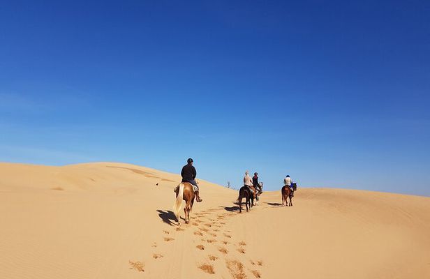 3-hour Private Ride between beach and dunes