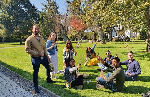 Santiago: Maipo Valley Tour, Wine, Pisco, and Lunch Included