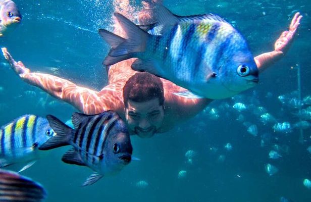 Boat Tour in Arraial do Cabo with Lunch
