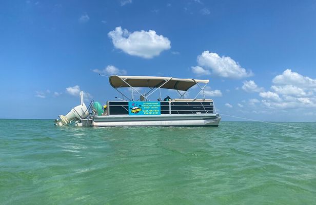4 Hour Dolphin and Sandbar Cruise