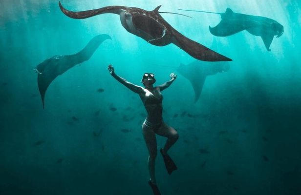 Snorkeling with Manta Rays in Nusa Penida Experience (All-Inclusive)