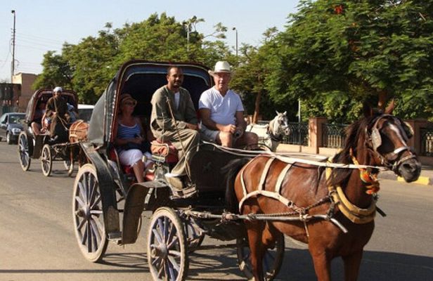 Luxor ancient sights, city Tour with traditional Horse Carriage