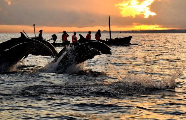 Bali Swim with Dolphin & Watching Sunrise, Gitgit Waterfall