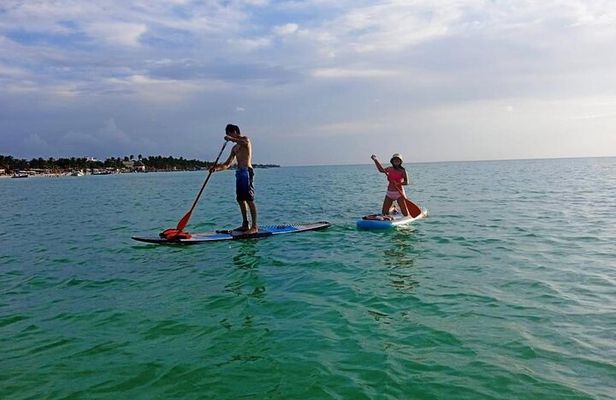 Paddle Board Classes in Holbox with Pick up