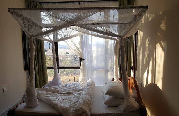 5 Days/4Nights Safari to Mikumi and Ruaha Parks 