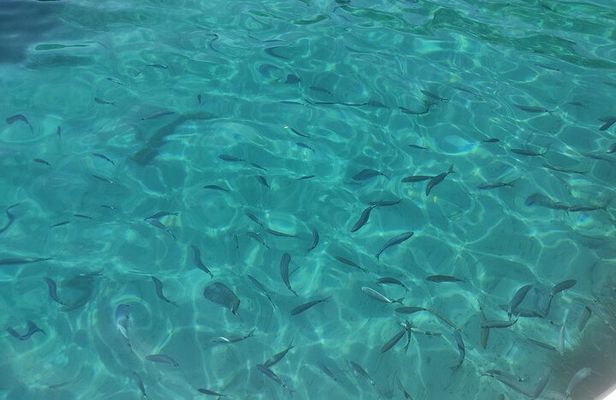 Private 6-Hour Boat Cruise in Northeast Corfu with Skipper