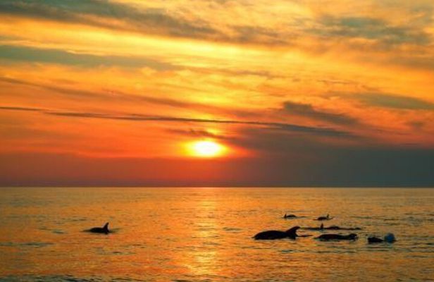 3hours all inclusive Sunset&Dolphin Tour from Medulin on Sandra
