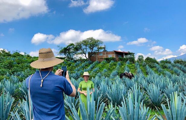La Fortaleza Tequila and Guachimontones Fully-Private Tour