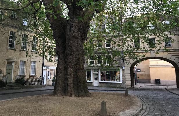 Private Guided Tour of Windsor, Stonehenge and Bath 