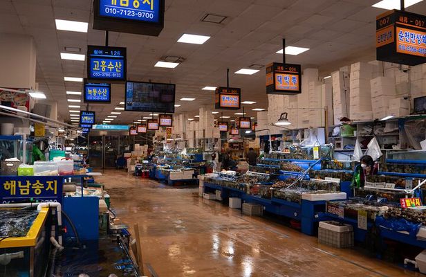 Seoul: The Biggest Sea-food Noryangjin Market Gastroventure Tour