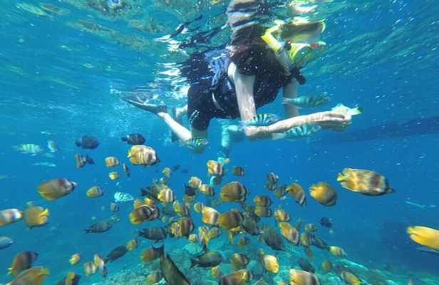 Snorkeling Manta Bay And West Penida Private Guided Tour