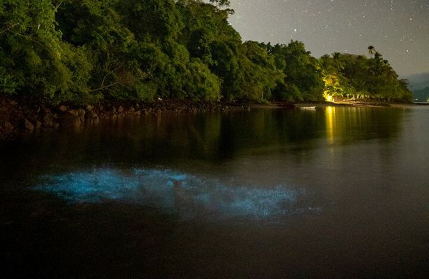 Bioluminescent Kayak Tour