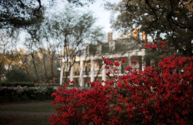 Explore Oak Alley Plantation Guided Tour with Transportation