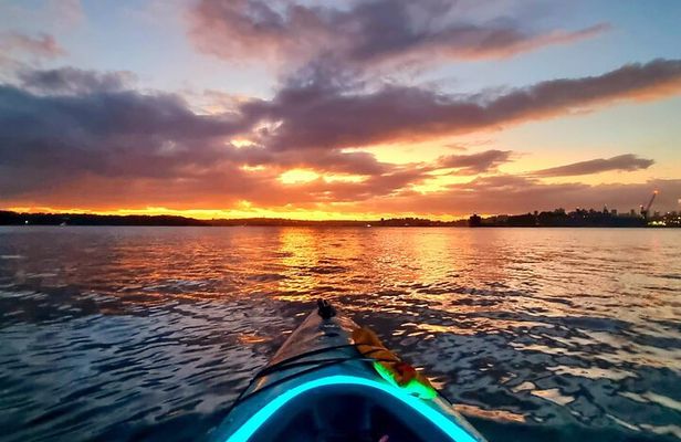 Sunset Paddle Session on Sydney Harbour